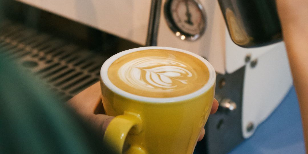 Bundle: Essential Coffee Knowledge + Fundamental Barista Skills