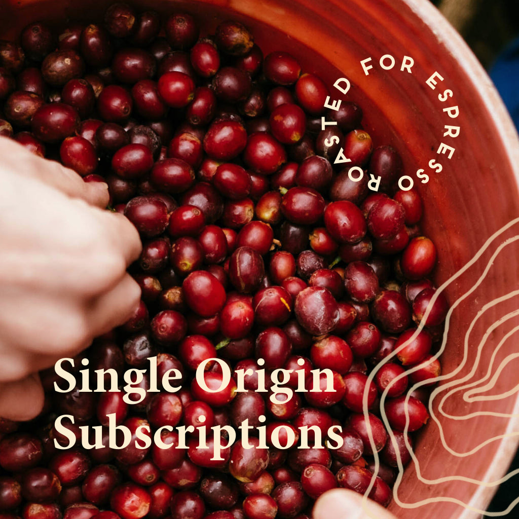 Single Origin Coffee Subscription