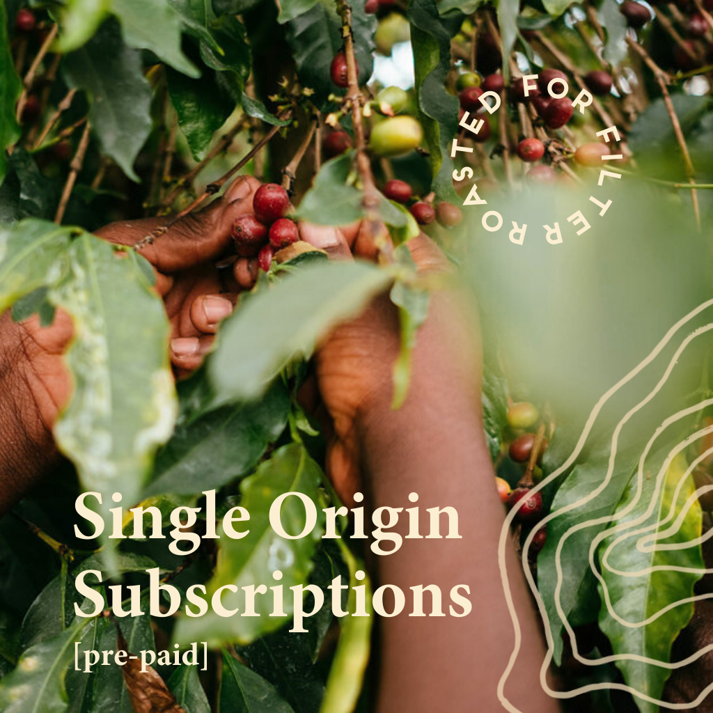 Single Origin Subscription [Filter, Pre-Paid]